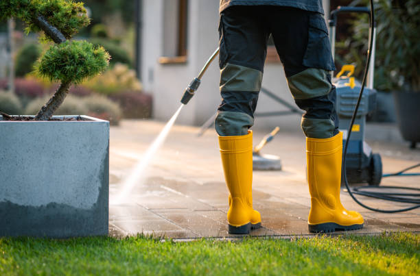 Best Pressure Washing Patio  in Dayton, NJ